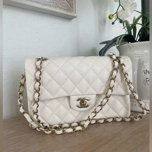 NWT CHANEL small classic quilted leather handbag